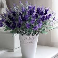 lavendar