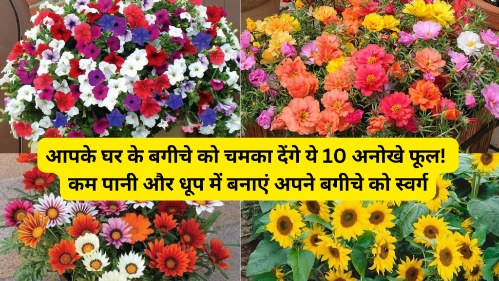 10 Unique Flowers for Low Water and Sunlight - कम पानी और धूप में खिलने वाले फूल